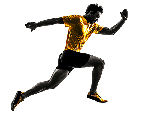 Z34_runner_smaller_Calfstrains