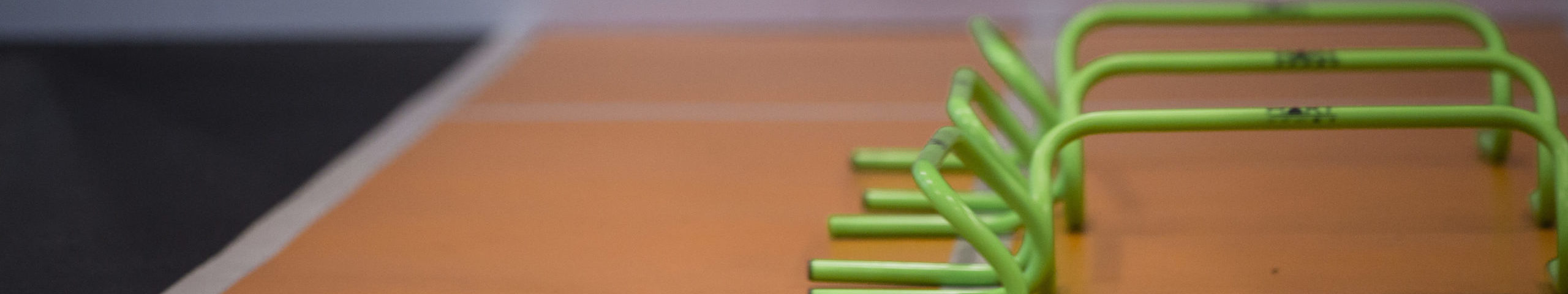 In The Zone: UTS Randwick Sparks